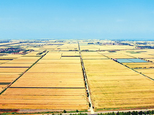 1707026475129650.jpg 沽河——万亩共富农场.jpg