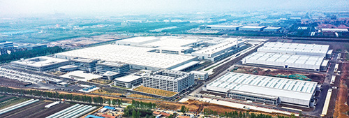 1707026730267999.jpg 姜山3.jpg