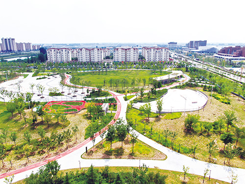 1707026891276168.jpg 姜山5.jpg