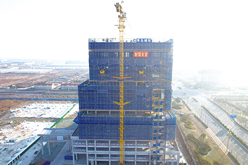 1707026900223443.jpg 姜山4.jpg