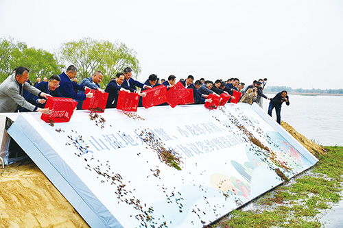 1707026966960704.jpg 姜山6.jpg