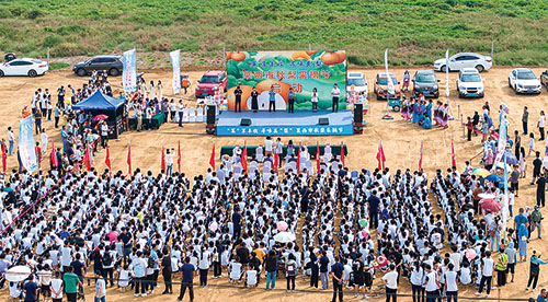 1707030385256795.jpg 日庄2.jpg