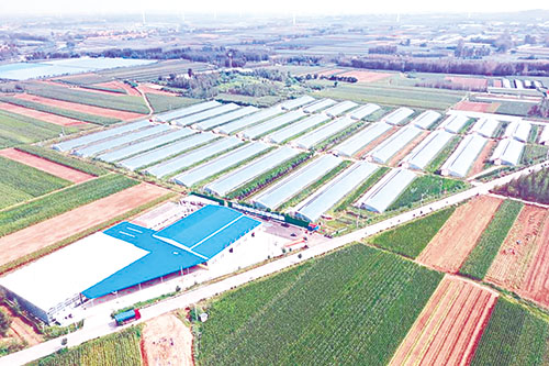 1707031128507104.jpg 马连庄2.jpg