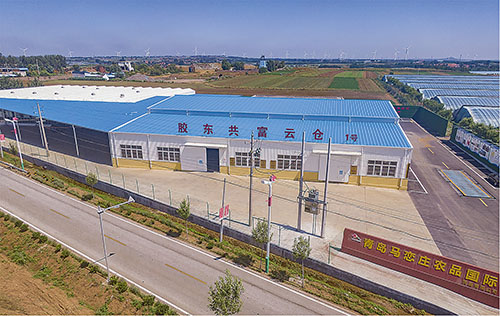 1707031203989032.jpg 马连庄5.jpg