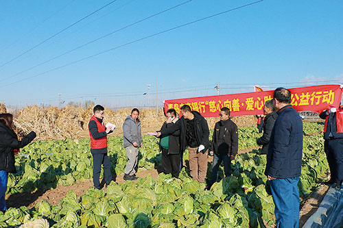 1707032152106516.jpg 农商行 青岛农商银行莱西支行爱心助农活动.jpg