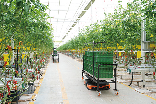 1707097202616863.jpg 浩丰潜伏式搬运机器人.jpg