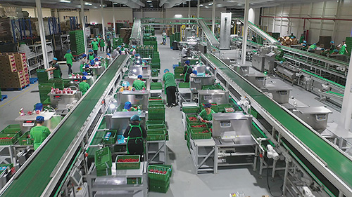 1707097226394188.jpg 浩丰自动化包装区.jpg