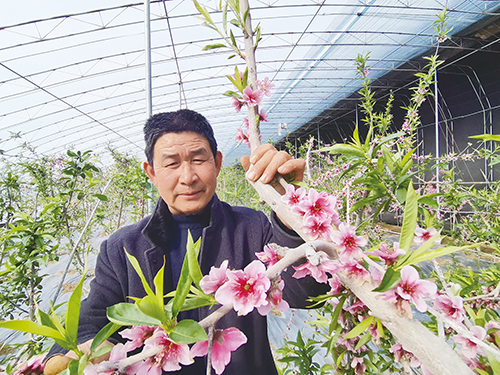 1710377140725010.jpg 3.2.jpg