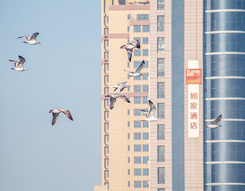 圈出来一个圈  小图.jpg