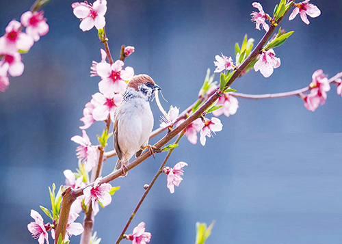 1713832437627380.jpg 4.jpg