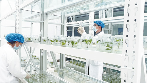 1718930684204923.jpg 1版2.jpg