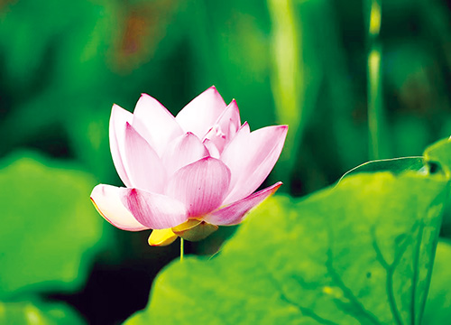 1718930822433107.jpg 1版.jpg