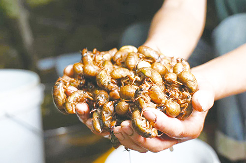 1722300083201352.jpg 2.jpg