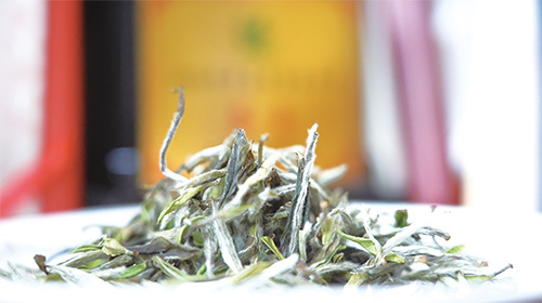 1722300700876989.jpg 1版.jpg