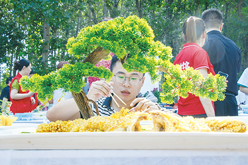 1723683031241744.jpg 307.jpg