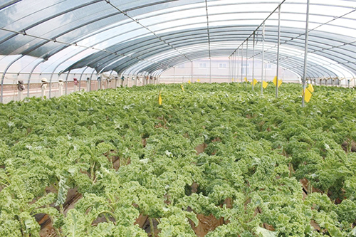 1724979543906454.jpg 2.jpg