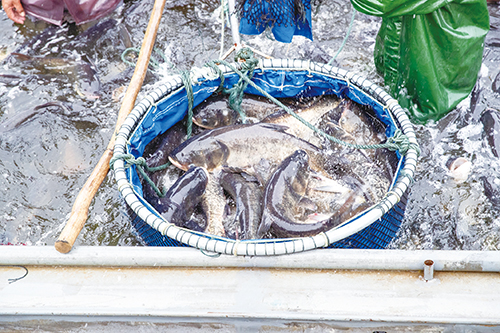 1727398849179674.jpg 301.jpg