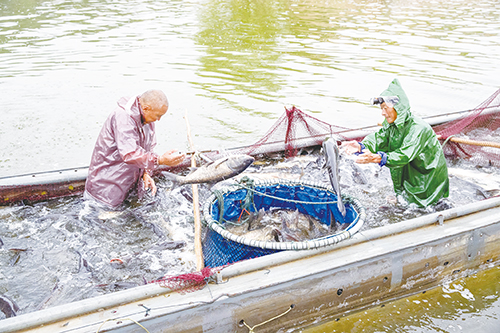 1727398858773449.jpg 303.jpg