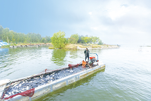 1727398880319514.jpg 305.jpg