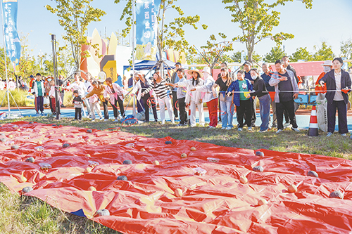 1727402917746958.jpg 301.jpg