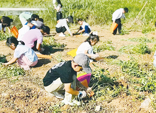 1728435294937276.jpg 307.jpg