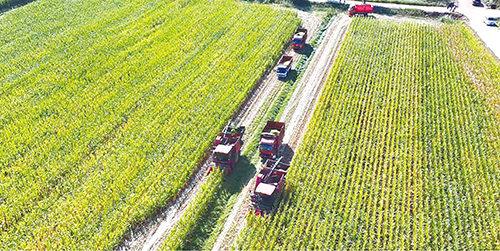 1728521045988226.jpg 1版.jpg