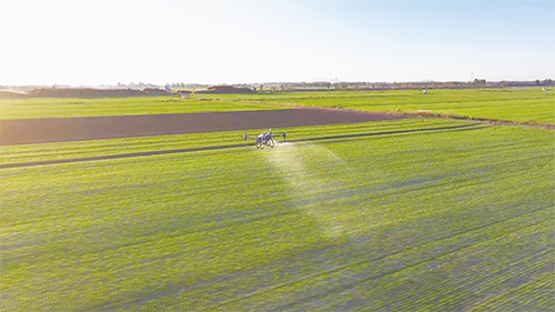 1731632095286329.jpg 102.jpg