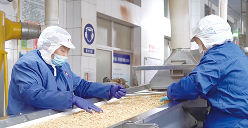 1732842930504026.jpg 2.花生.jpg