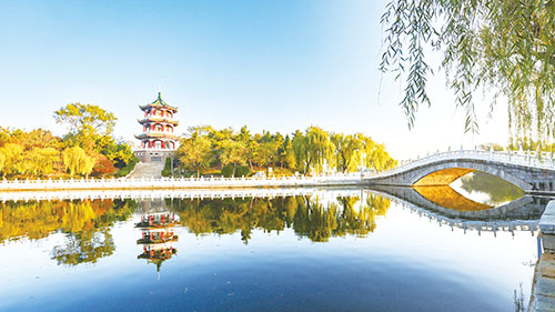 1740037949615903.jpg 401.jpg