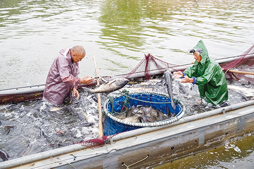 1740704573320219.jpg 2.捕鱼.jpg