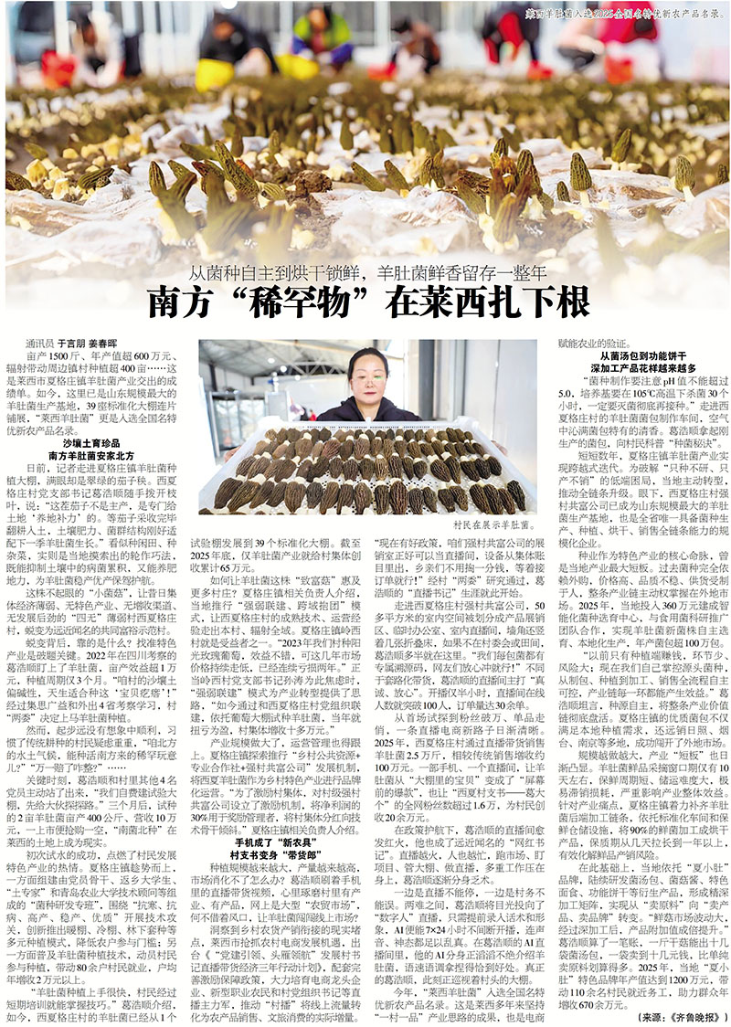 333.jpg
