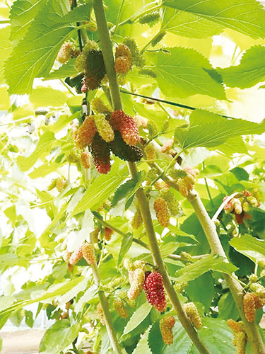 5ɣزժ˫Ȫͥũ (1).jpg