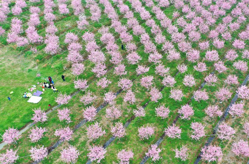 һܳʲôʱܻص״̬רҽ