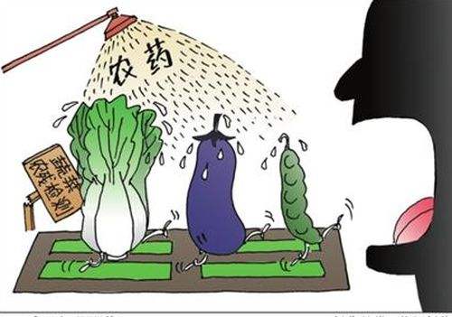 ʵʩũҩЧ ũҵɫЧչ