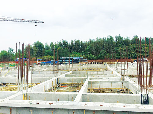 ɽĻҵְҵѧԺڹ̼ӿƽ