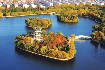 ίʮĽʮȫٿ ׯֻ鲢 Դ2021꾭ù