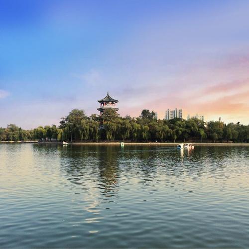 ίίٿ146λ ѧϰϰƽҪ ׯֻ鲢