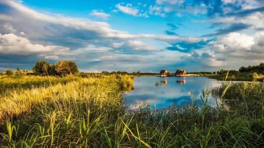 ίίٿ156λ ѧϰϰƽҪ ׯֻ鲢