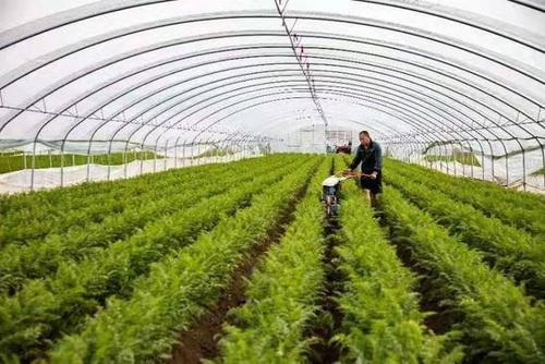 ൺожصҵĿǩԼ ǩԼ7صĿ Ͷ158Ԫ