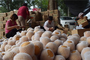 ׯ򡰲ҵ˲šȼˡǿ桱