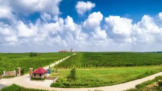 �������³���������չ�����п�Ļ