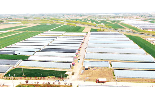 ��ͷ�����Ԫ���μ����������